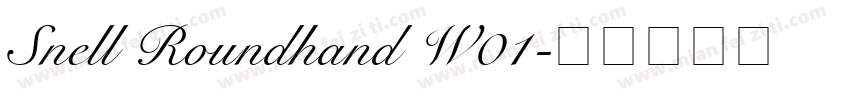 Snell Roundhand W01字体转换